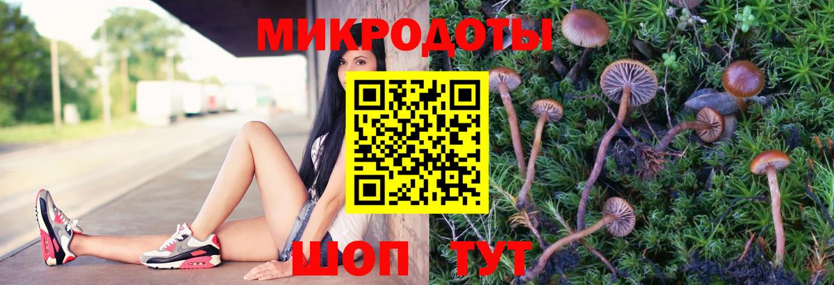 Елец  Псилоцибиновые грибы мицелий  Вход с VPN 